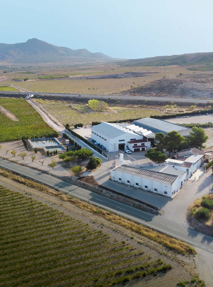 Bodegas Viña Elena